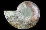 Agatized Ammonite Fossil (Half) - Madagascar #83820-1